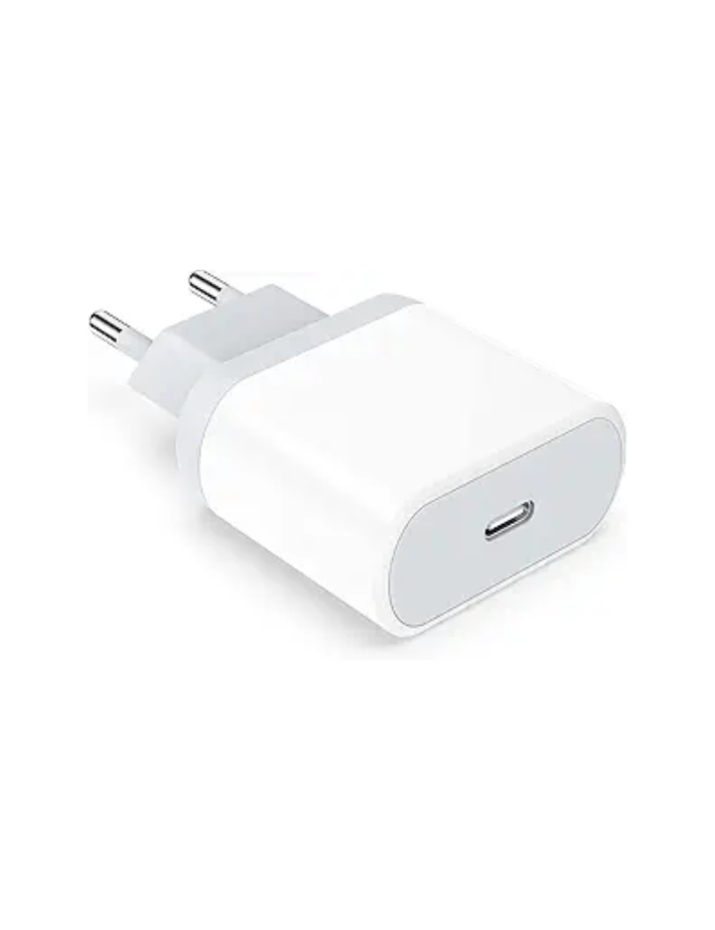 Euro 20W Charger